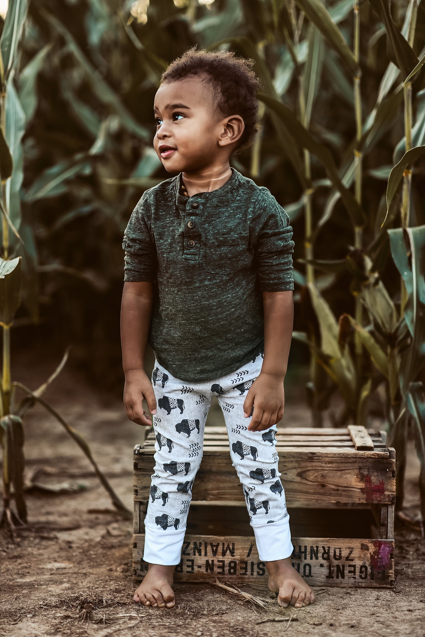 Grey Buffalo Aztec Leggings