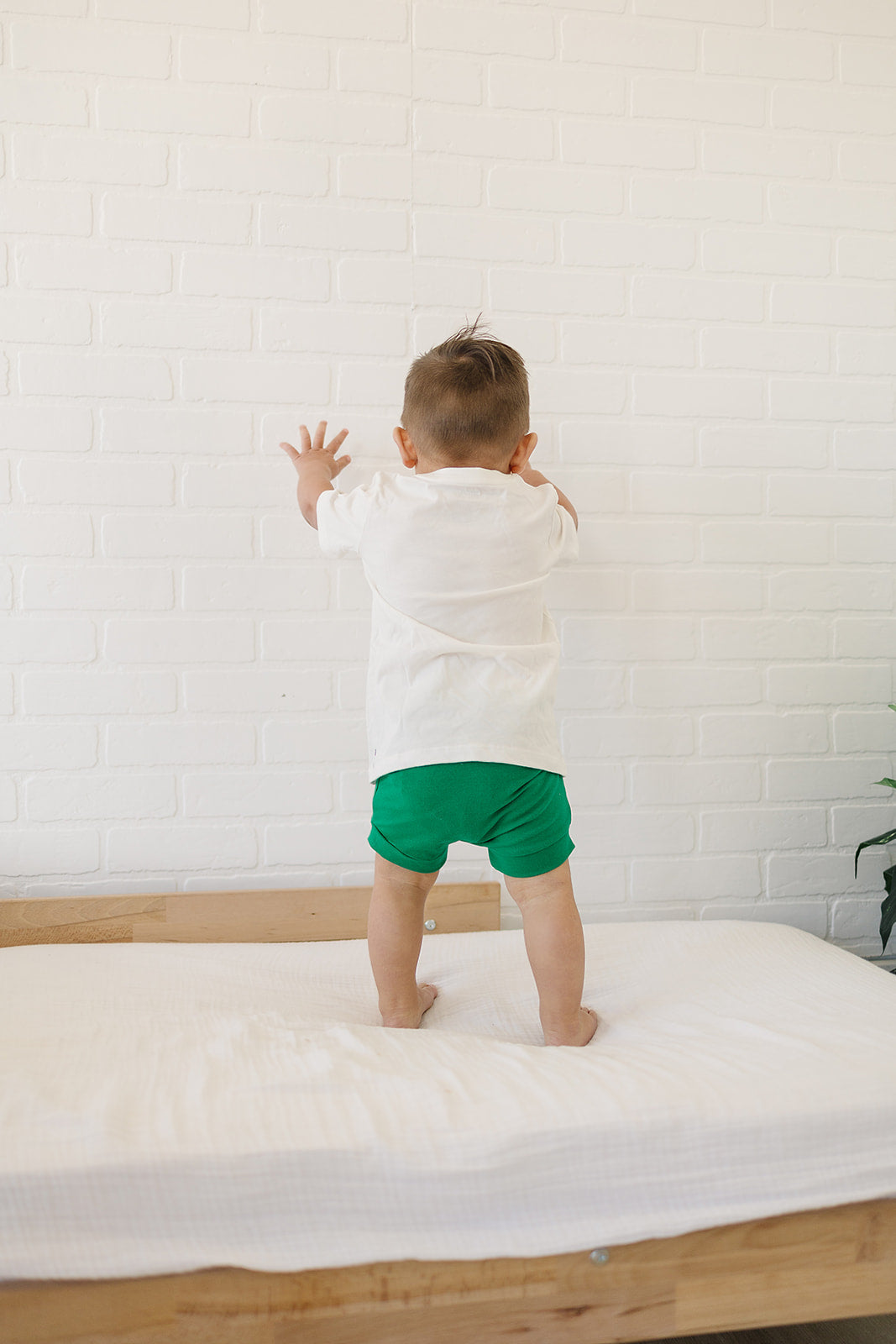 Solid Kelly Green Shorties