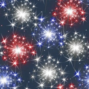 Fireworks on Navy Shorties (Matching)