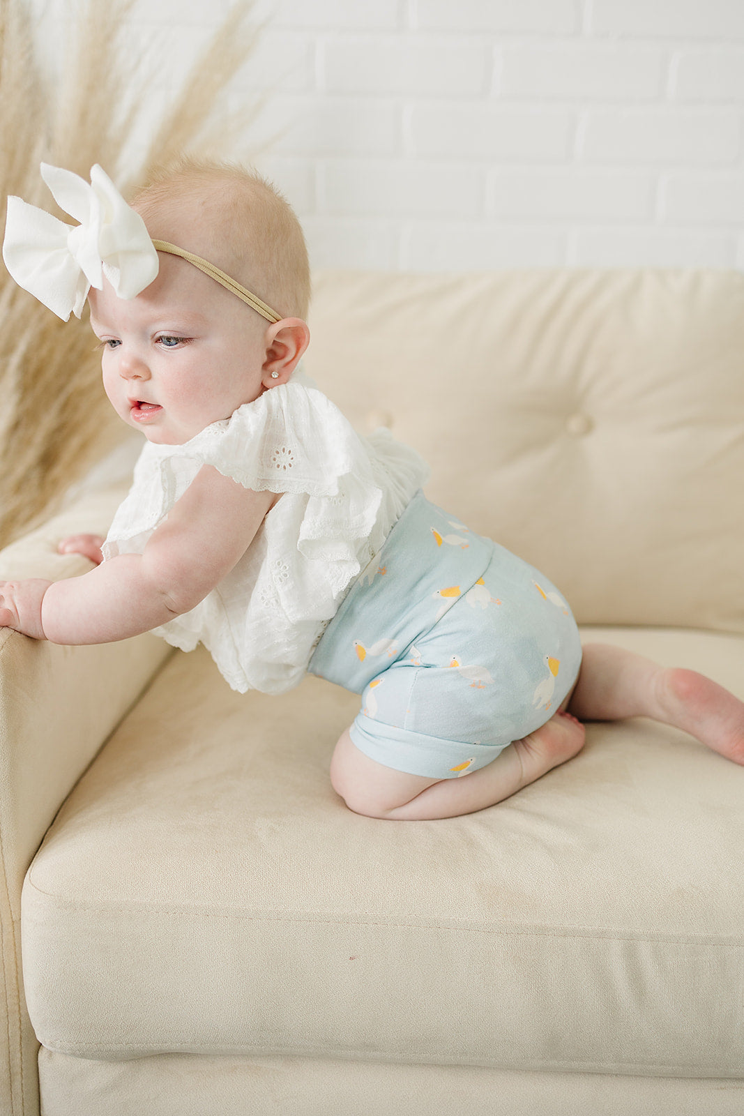 Blue Pelican Shorties (Matching)